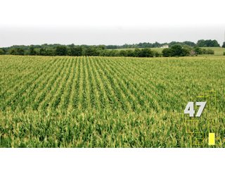 Property photo 174 - Land Auction - 3,379 Acres in 48 Tracts, 2,900 Acres Tillable, Large Contiguous Tracts - Investment Potential